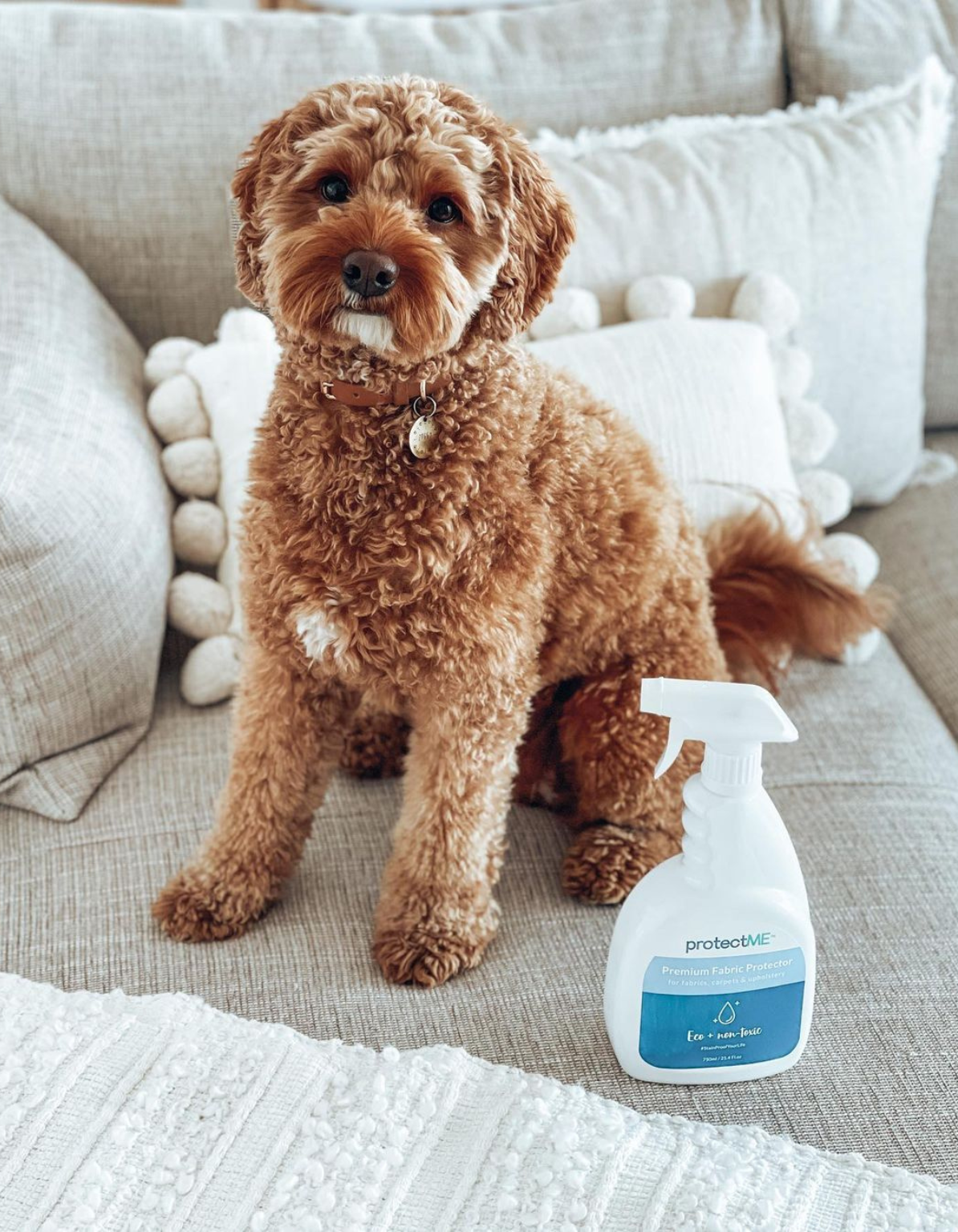 Premium Fabric Protector