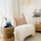 Fabric Protector Big Job Pack